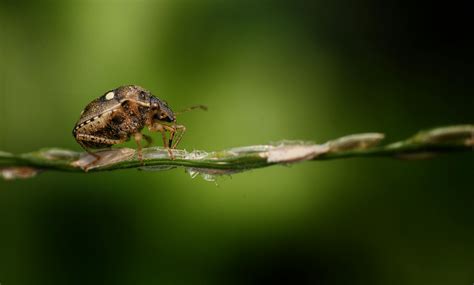 Intro Background に対する画像結果