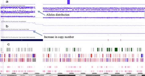 Toradh íomhá ar Microarray Data Analysis Software