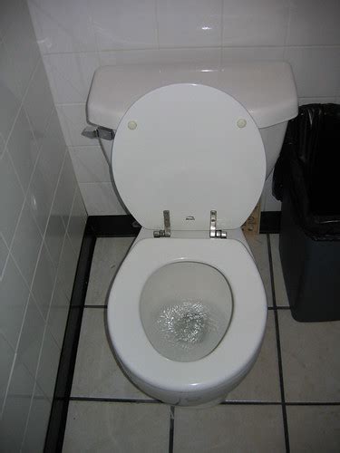 Image result for Toilet Kind