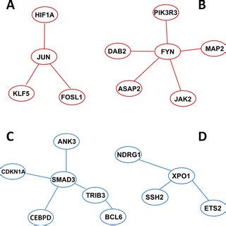 Image result for Gene Module