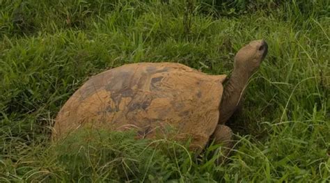 Afbeeldingsresultaten voor What Are Engineers Responsible For