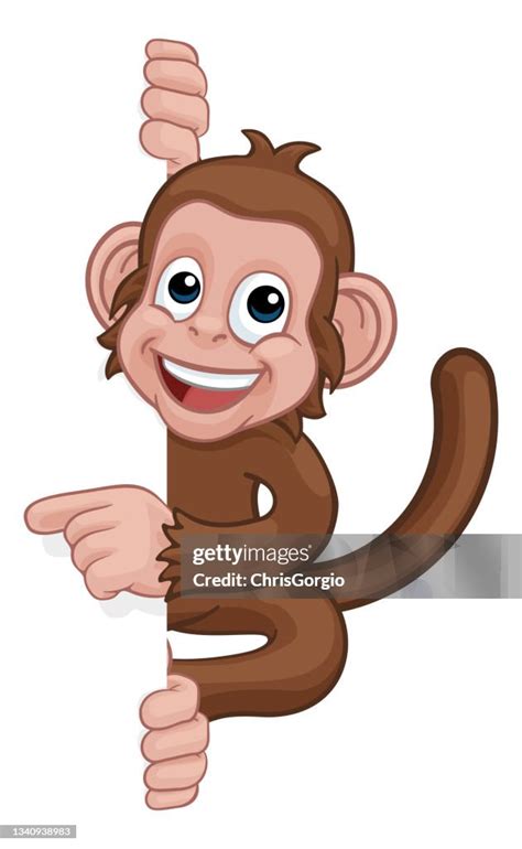 Image result for Monkey Pointing at Chart