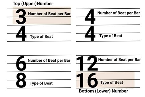 Image result for Time Signature Music Explained