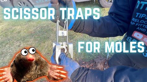 Image result for How to Use Mole Traps