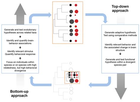 Afbeeldingsresultaten voor Bottom-Up Approach in Casing Design