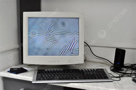 Image result for Electronic Microscope Image