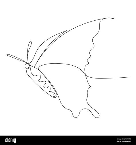 Image result for Single Line Butterfly Drawing