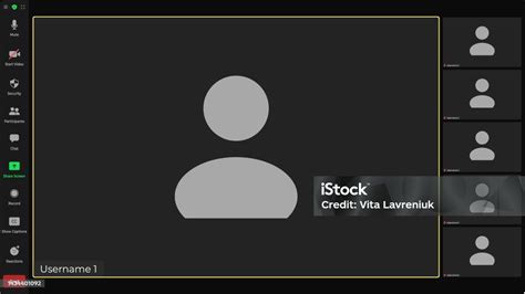 Image result for Window Screen Shot Example with Video Conference and Other Application