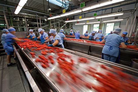 Image result for Sorting Process Flow Chart