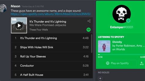 Image result for Spotify On Discord Call