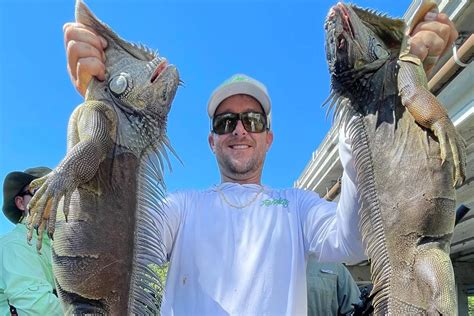 Toradh íomhá ar Python Cowboy Iguana Hunt