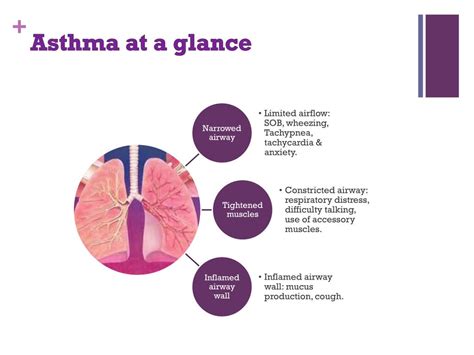 Image result for Asthma Pathophysiology Novartis
