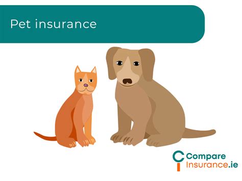 Toradh íomhá ar Online Insurance Compare