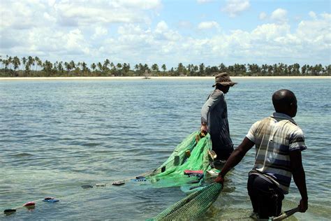 Image result for Fishing with Nets