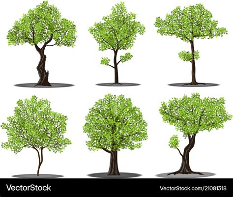 Image result for Free Green Tree Vector