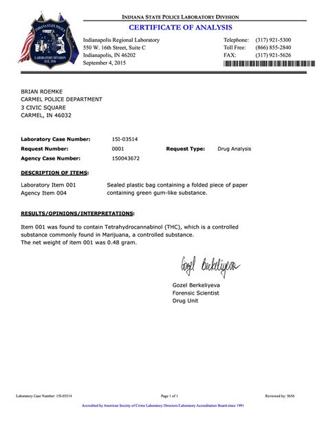 Toradh íomhá ar Example of a Collge Lab Report