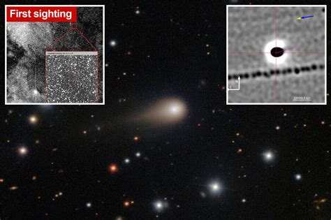 Image result for Python Spotted in River Thames