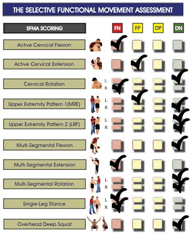Toradh íomhá ar Functional Movement Alalysis