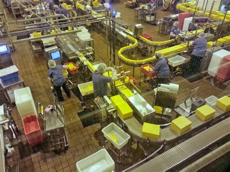 Image result for Tillamook Cheese Co Graph and Chart