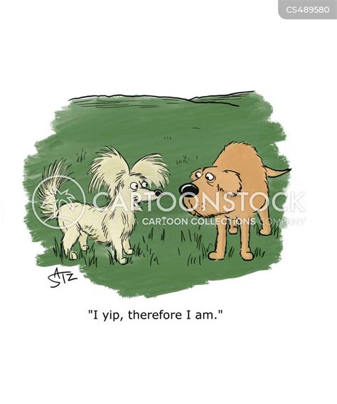 Toradh íomhá ar Affirmation Cartoon