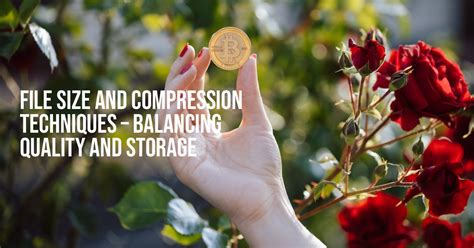 Image result for File Sizesvand Compression