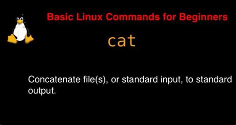 Image result for Linux Cat Command Examples