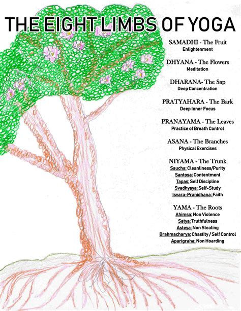 Image result for Yoga Tree Limbs