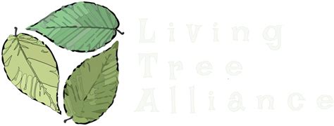 Afbeeldingsresultaten voor Living Tree Bench