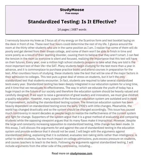 Image result for Standardized Testing Essay Examples