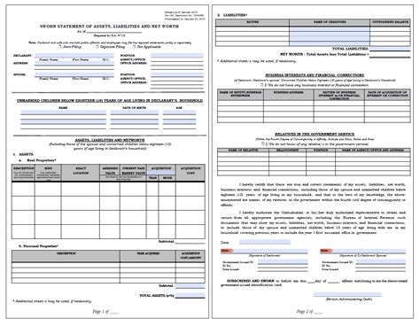 Image result for SALN Form Example