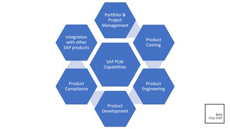 Image result for SAP Lifecycle Management Process