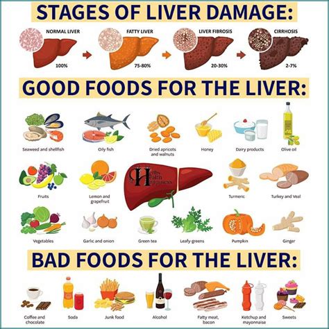 Image result for How Do You Get a Fatty Liver