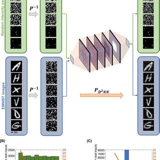 Input/Output Deferens Image-க்கான படிம முடிவு