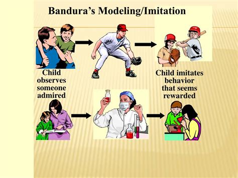 Image result for Child Development Theories