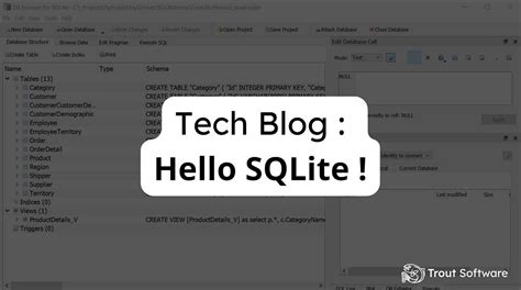 Image result for SQL On Android