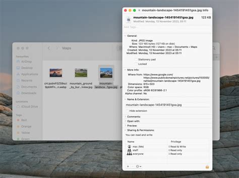 Image result for How to Find File Path in Mac