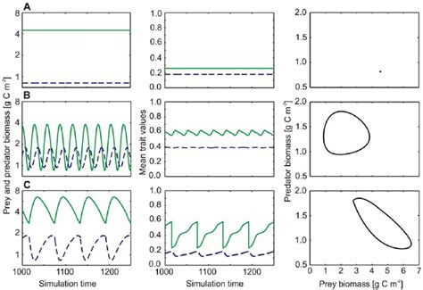 Image result for Dynamic Pattern