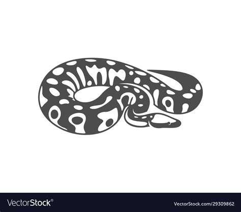 Ball Python Vectorized માટે ઇમેજ પરિણામ