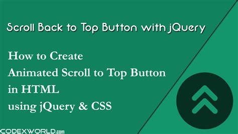 Image result for Basic Back Button