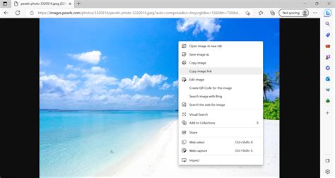 How to Copy Imagage URL に対する画像結果