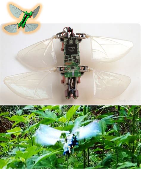 Toradh íomhá ar Remote Control Dragonfly
