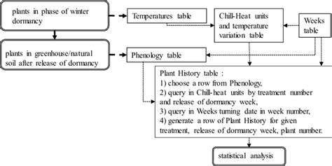 Image result for Flow Chart with Database Connection