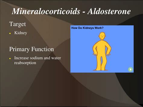 Cortisol Control に対する画像結果