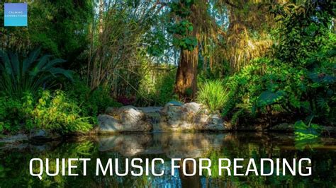 Image result for Calm Reading Music