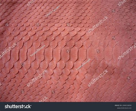 Desert Python Skin に対する画像結果