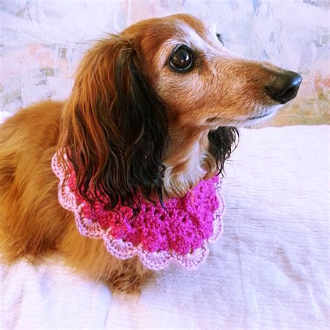 Image result for Pattern for Dog Scarf to Go On Collar