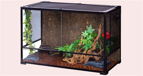Image result for Unique Ball Python Enclosure Decor