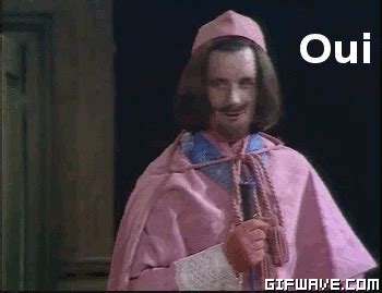 Image result for Silly Monthy Python GIF