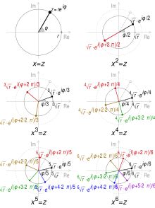 Image result for Root of Unity