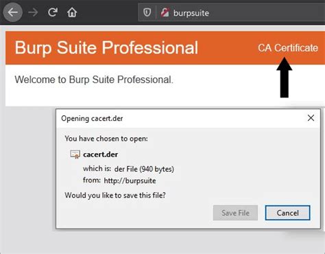 Toradh íomhá ar Using Burp Suite for Pentesting